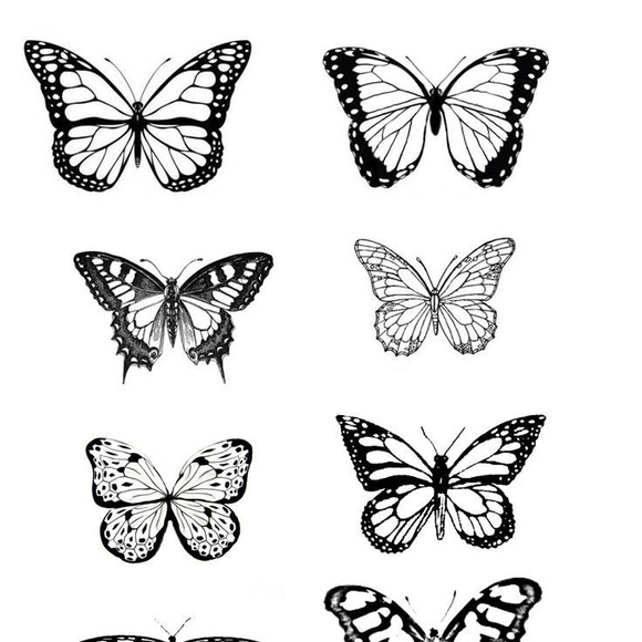 Meet your Posher, Ricki - Picture 1 of 1